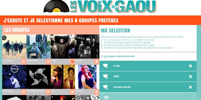 Vote Gaou