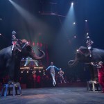 Cirque Arlette Gruss / Gassin Hyères 2014