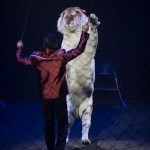 Cirque Arlette Gruss / Gassin Hyères 2014