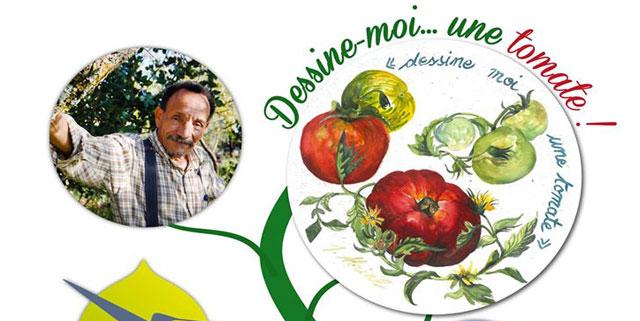 Dessine moi une tomate